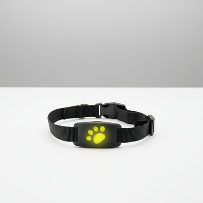 GPS Pet Tracker