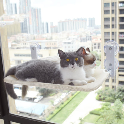 Cat Suction Cup Window Glass bed