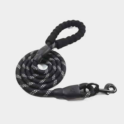 Medium Pet Dog Luminous Leash Chain Puppies